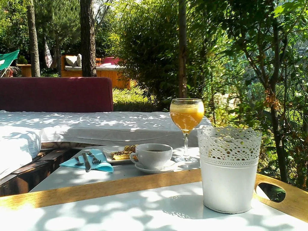 Borda Jovell Hostel Sispony